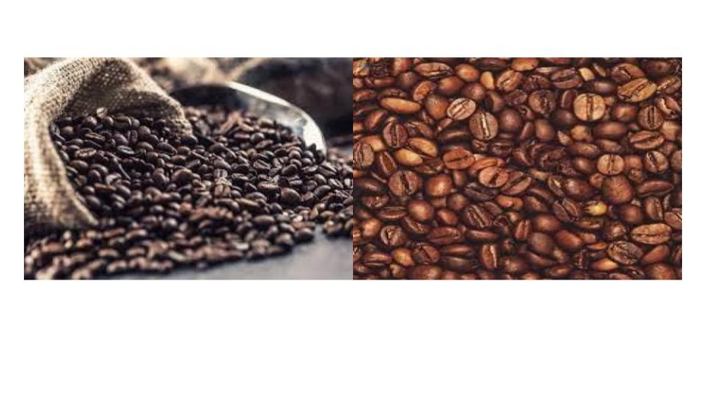 Coffee Beans Wholesale With Good Roasting Quality